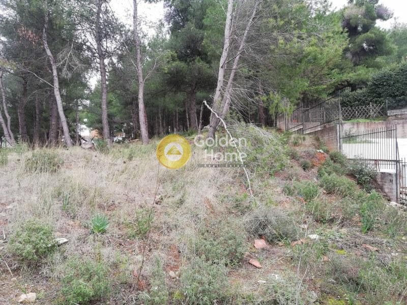 Οικόπεδο στην Δροσιά, Δροσιά — Φωτογραφία 16 από 20