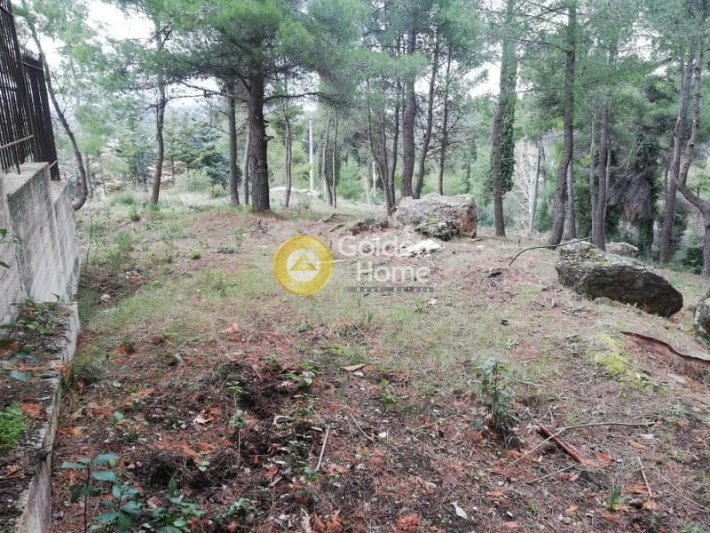 Οικόπεδο στην Δροσιά, Δροσιά — Φωτογραφία 12 από 20