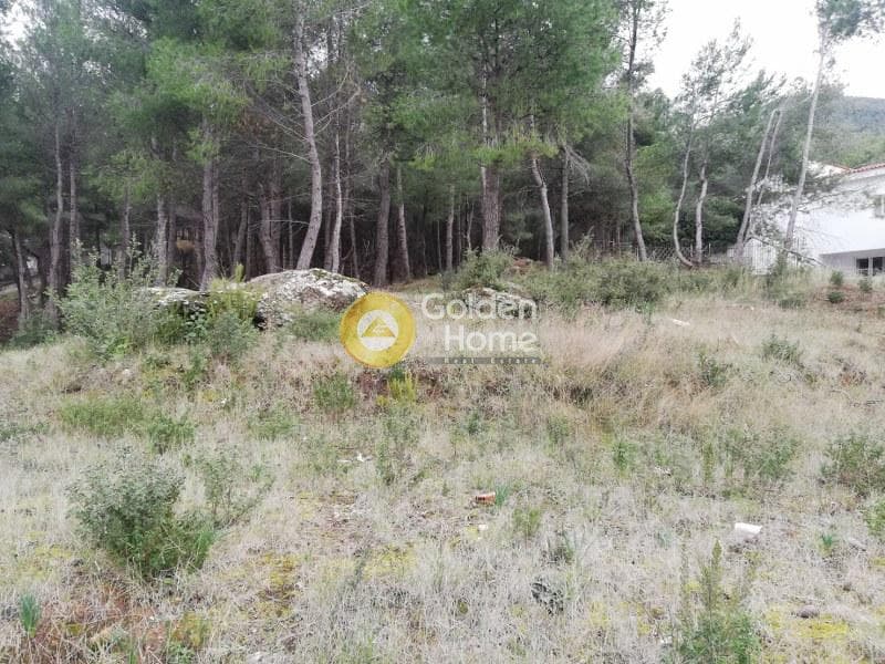 Οικόπεδο στην Δροσιά, Δροσιά — Φωτογραφία 18 από 20