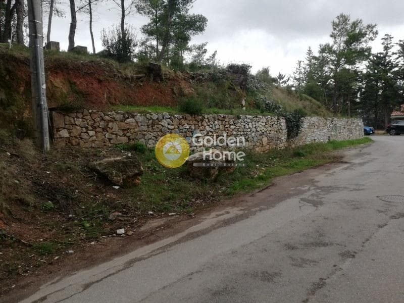 Οικόπεδο στην Δροσιά, Δροσιά — Φωτογραφία 2 από 20
