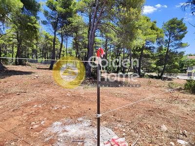 Οικόπεδο στην Αγία Τριάδα, Αφίδνες — Φωτογραφία 3 από 13