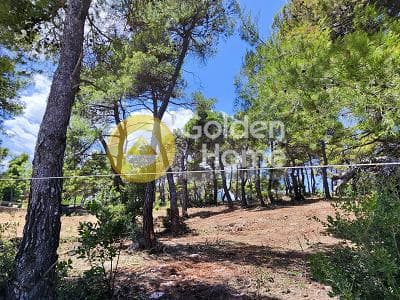 Οικόπεδο στην Αγία Τριάδα, Αφίδνες — Φωτογραφία 12 από 13