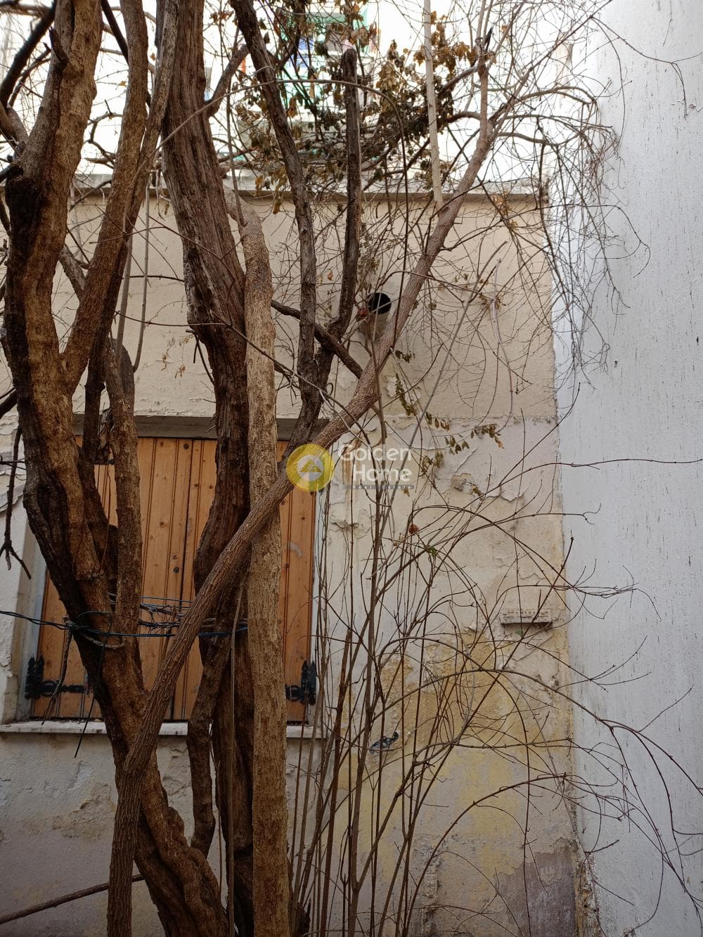 Μονοκατοικία στην Πλατεία Αττικής, Αττική — Φωτογραφία 4 από 12