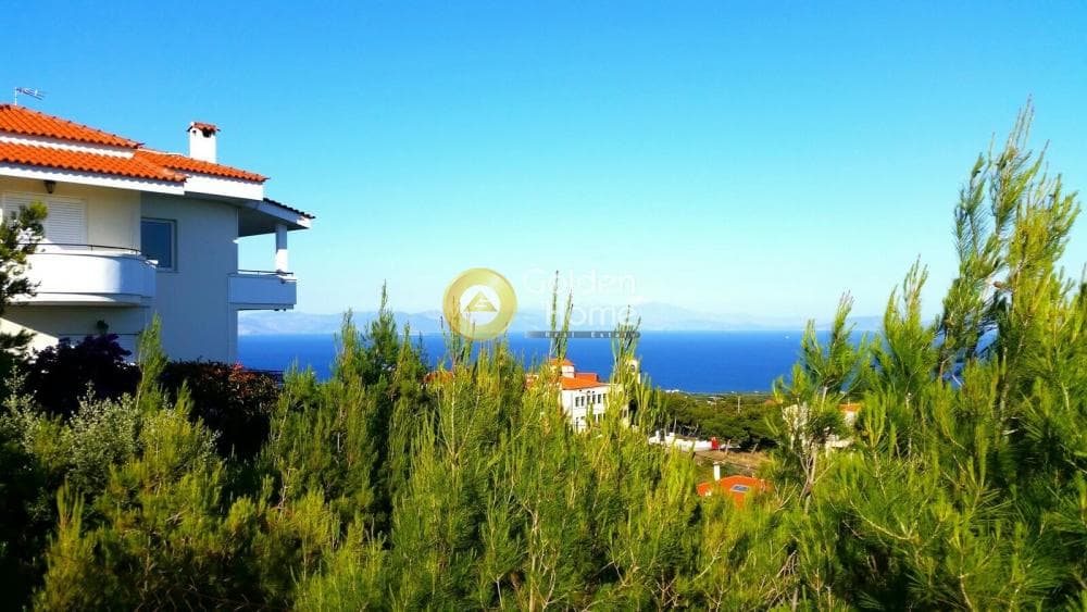 Building Plot in Neos Voutzas, Rafina — Photo 8 of 8