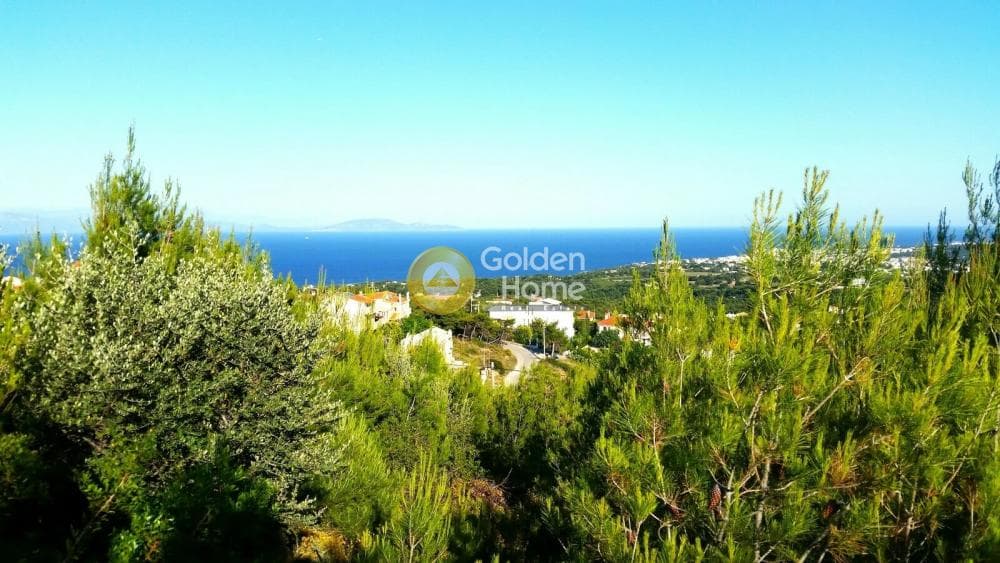 Building Plot in Neos Voutzas, Rafina — Photo 4 of 8