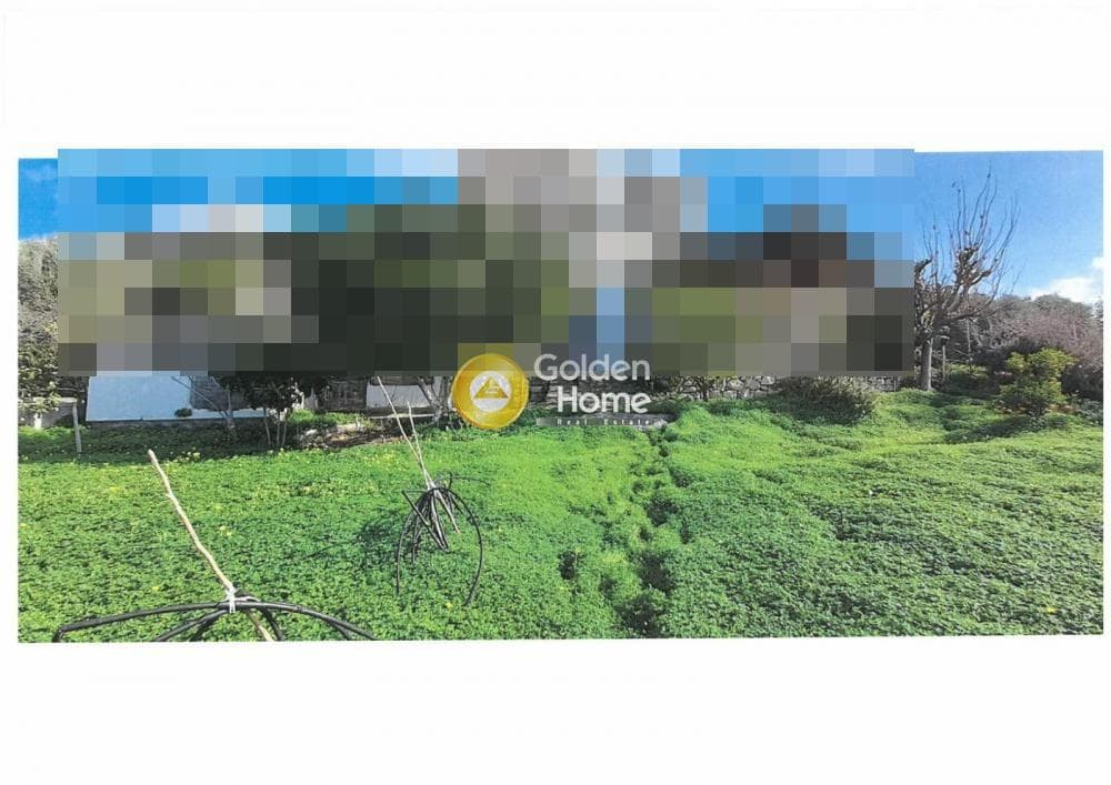 Αγροτεμάχιο στην Μεσαμπελιές, Ηράκλειο Κρήτης