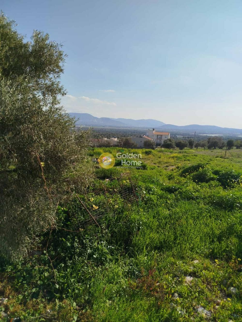 Building Plot in Neapoli, Spata — Photo 3 of 7
