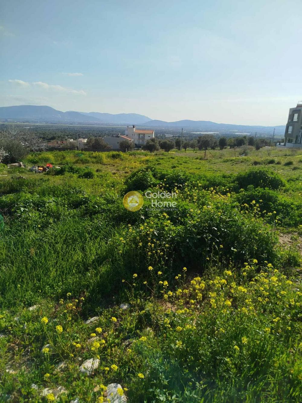 Building Plot in Neapoli, Spata — Photo 4 of 7