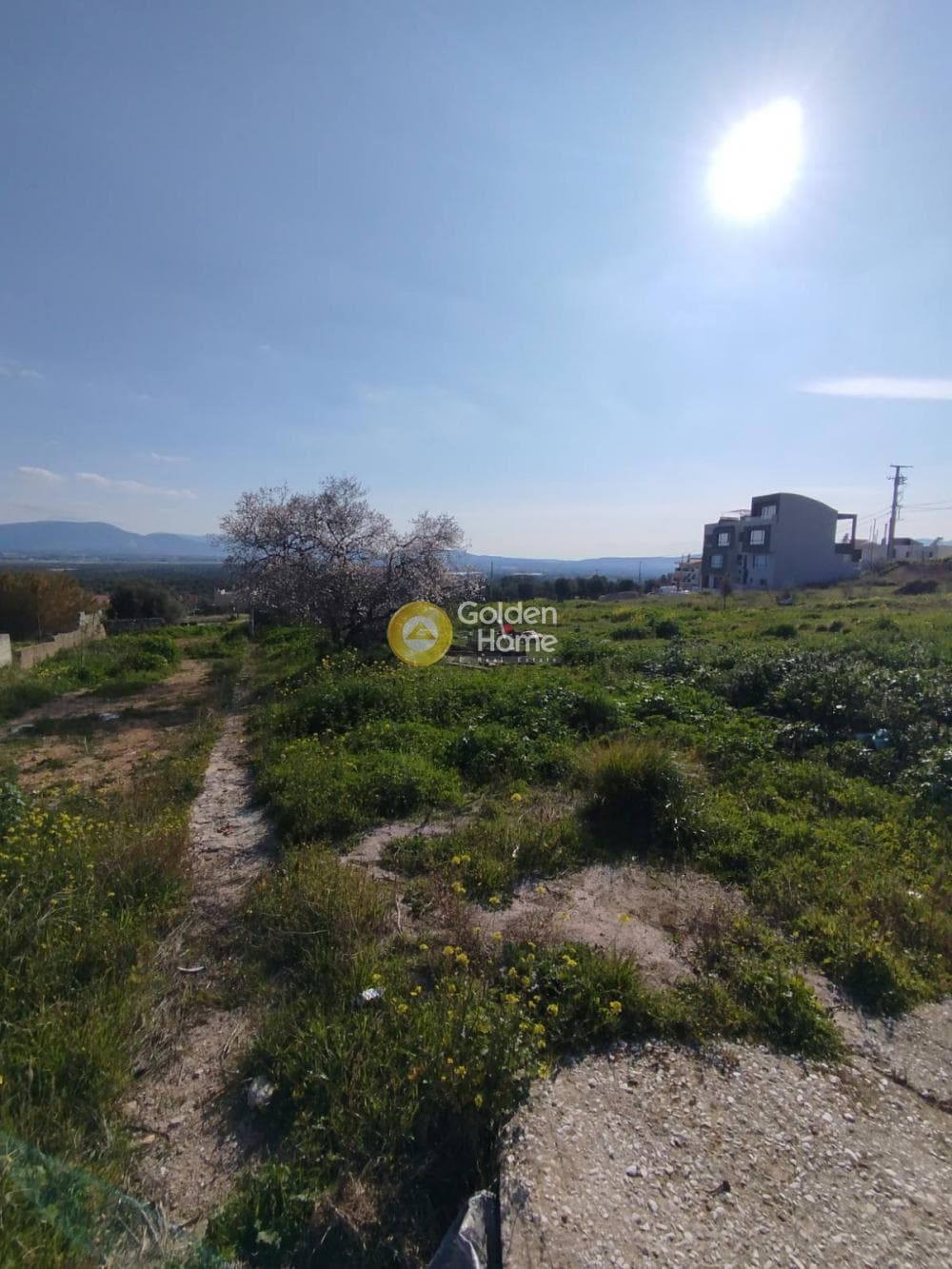 Building Plot in Neapoli, Spata — Photo 7 of 7