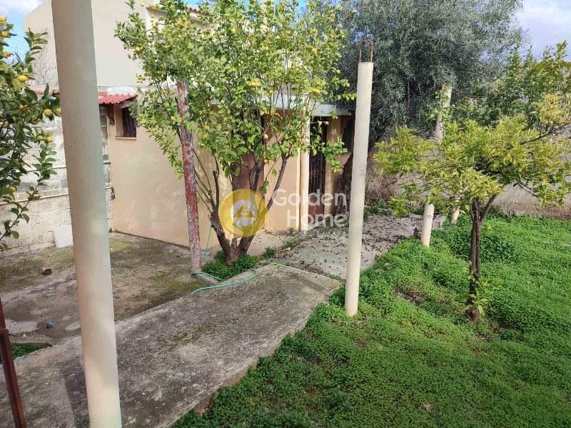 House in Agia Triada, Paiania — Photo 10 of 10