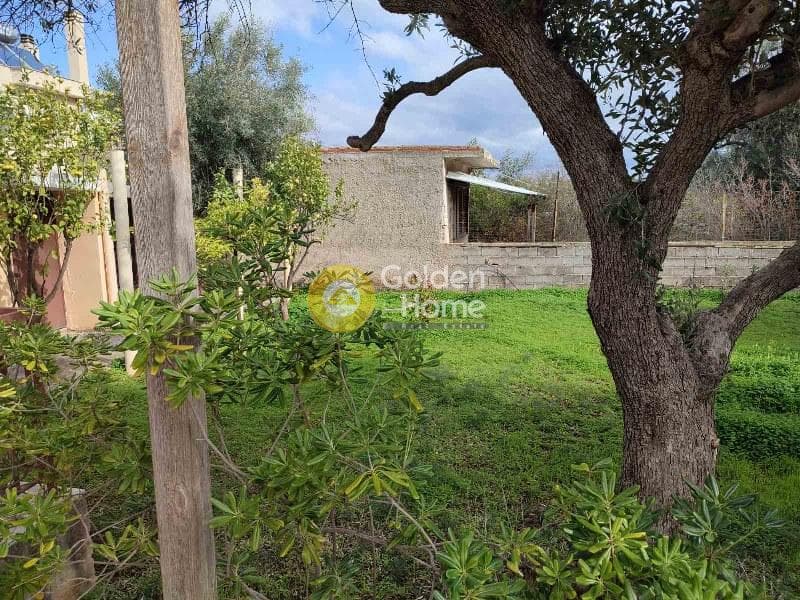 Οικόπεδο στην Αγία Τριάδα, Παιανία — Φωτογραφία 6 από 11