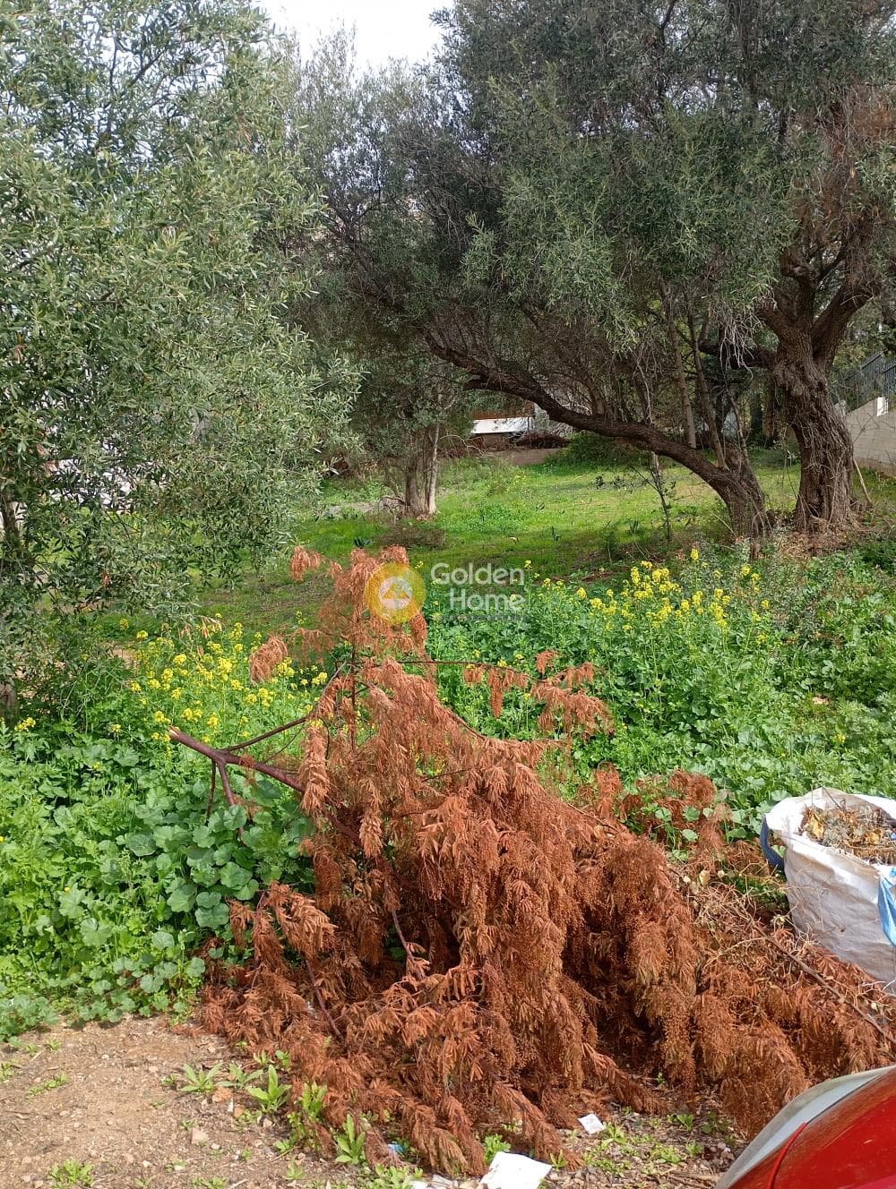 Οικόπεδο στην Σαρωνίδα, Σαρωνίδα — Φωτογραφία 2 από 5