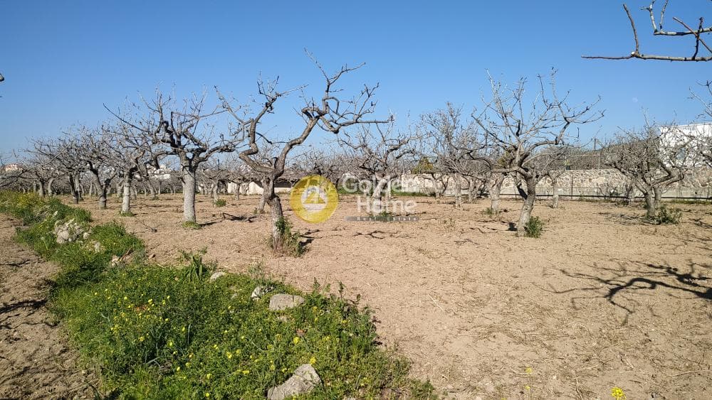 Building Plot in Pagoni, Aegina — Photo 1 of 4