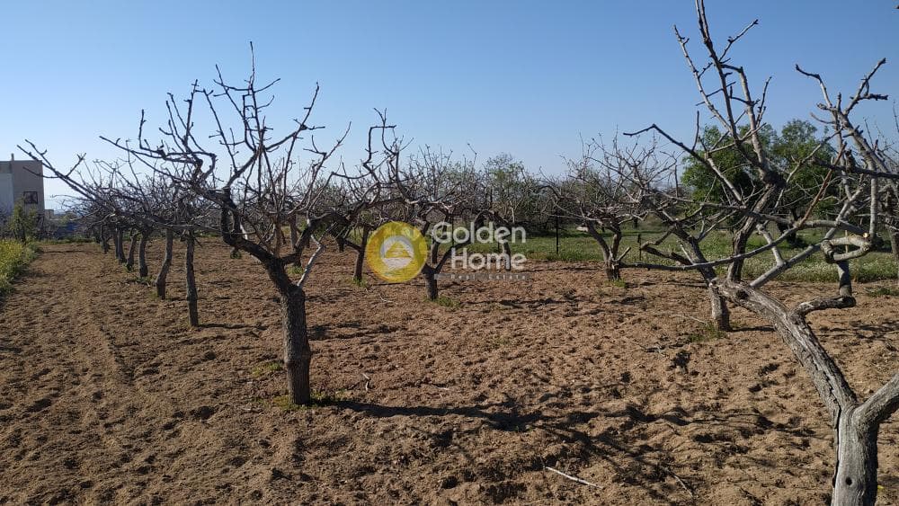 Building Plot in Pagoni, Aegina — Photo 2 of 4