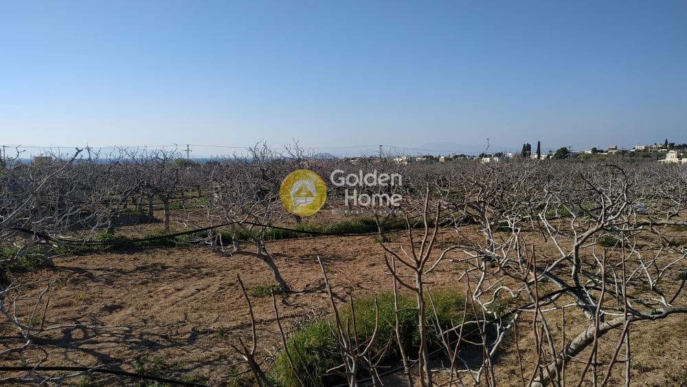 Building Plot in Pagoni, Aegina — Photo 3 of 4