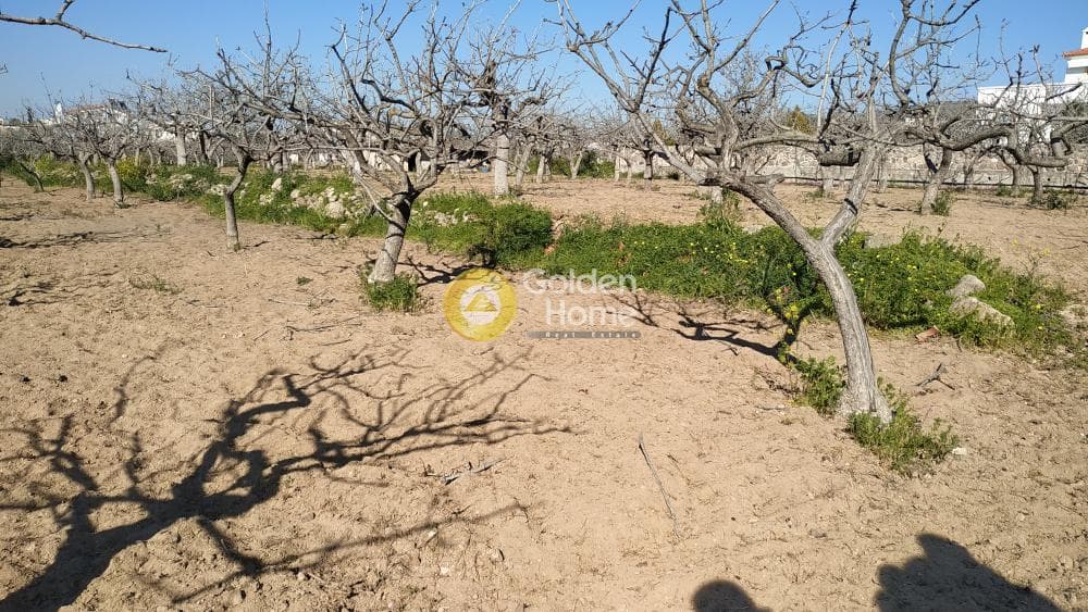 Building Plot in Pagoni, Aegina — Photo 4 of 4