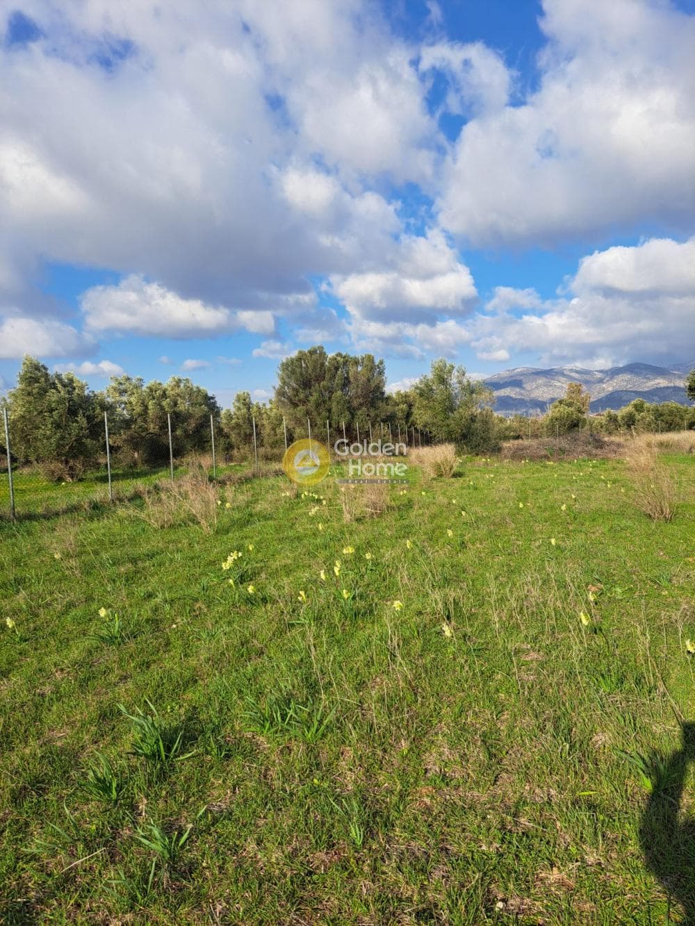 Parcel in Megala Sxoinia A, Acharnes