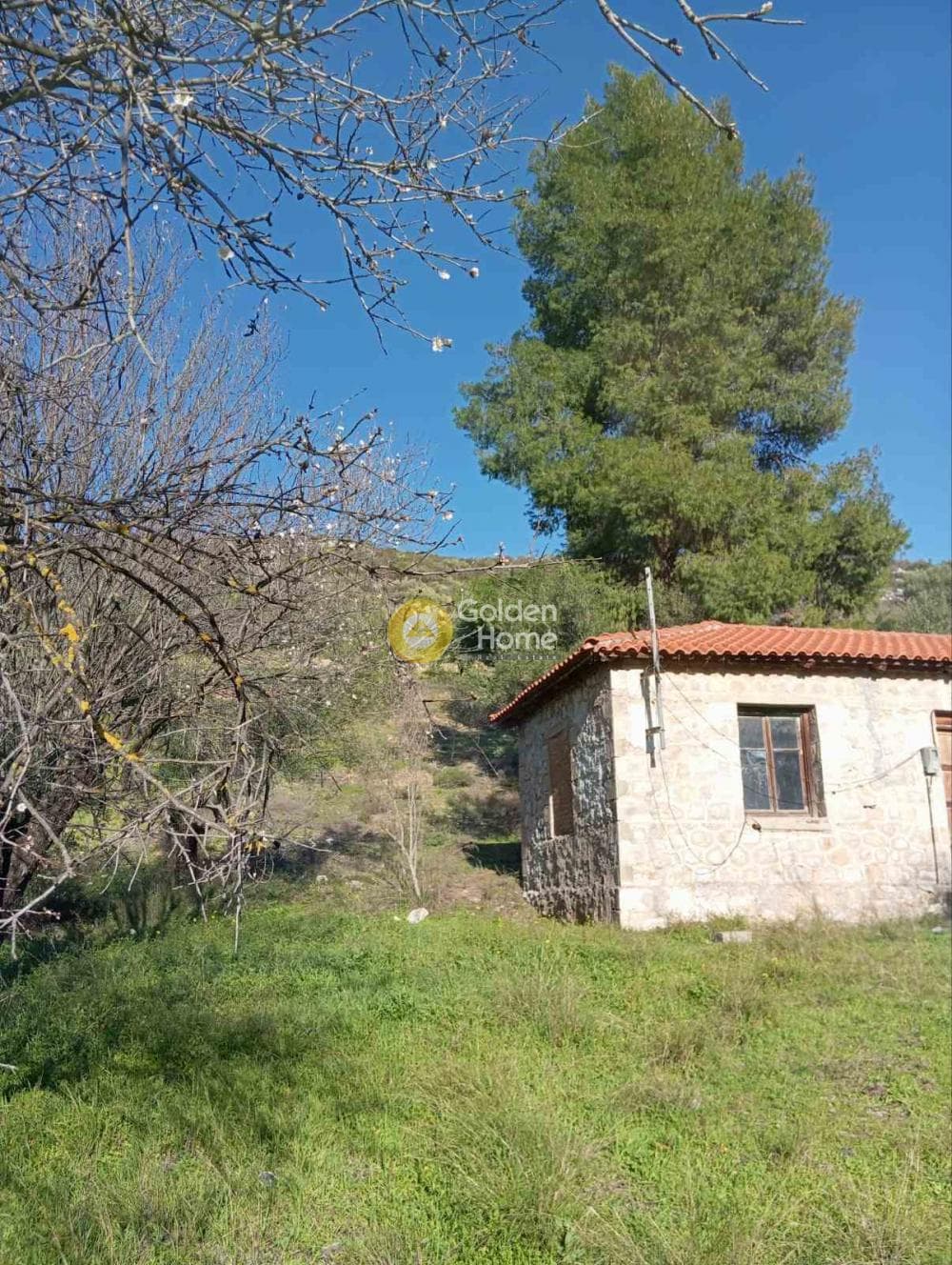 Μονοκατοικία στην Ακραίφνιο, Ακραίφνια — Φωτογραφία 8 από 10