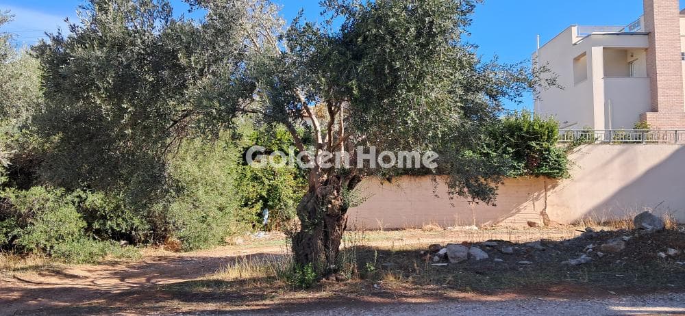 Οικόπεδο στην Στούντιο Άλφα, Μαρούσι — Φωτογραφία 1 από 4