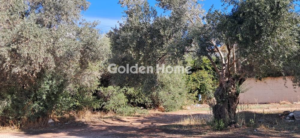 Οικόπεδο στην Στούντιο Άλφα, Μαρούσι — Φωτογραφία 3 από 4
