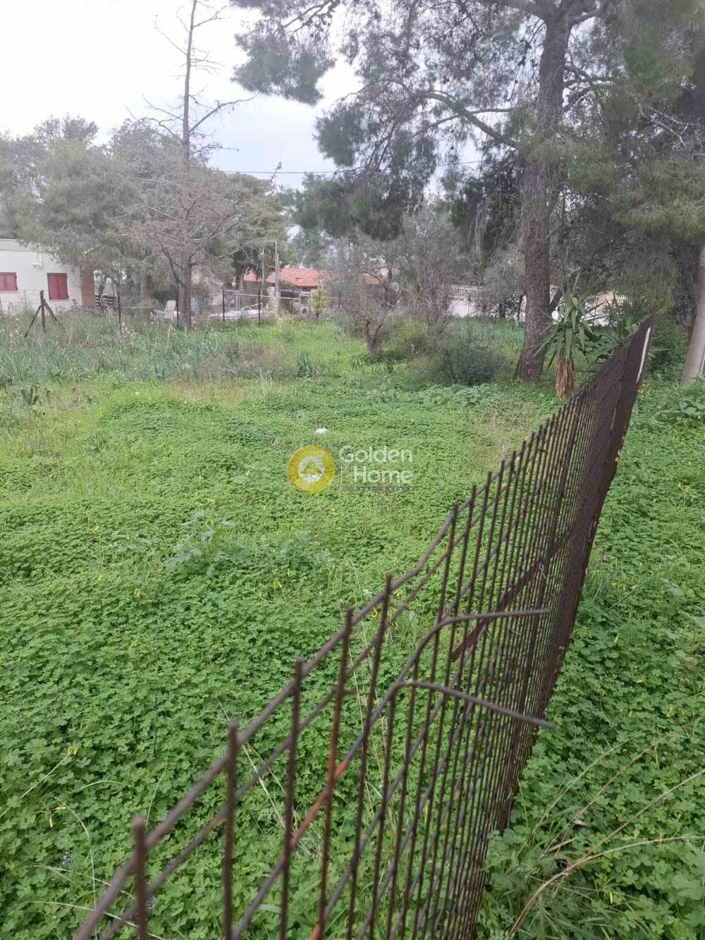 Building Plot in Selinia, Salamina — Photo 3 of 4