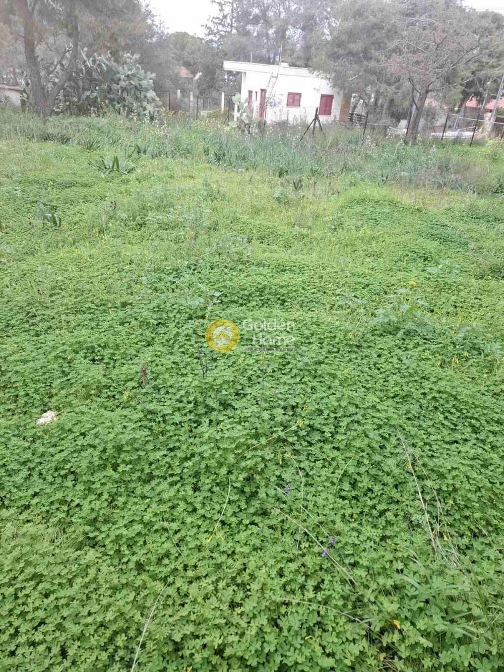 Building Plot in Selinia, Salamina — Photo 1 of 4