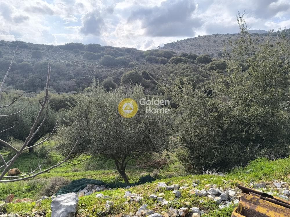 Οικόπεδο στην Άγιος Δημήτριος (τ. Καραμανλή Μετόχι), Ηράκλειο Κρήτης — Φωτογραφία 1 από 4