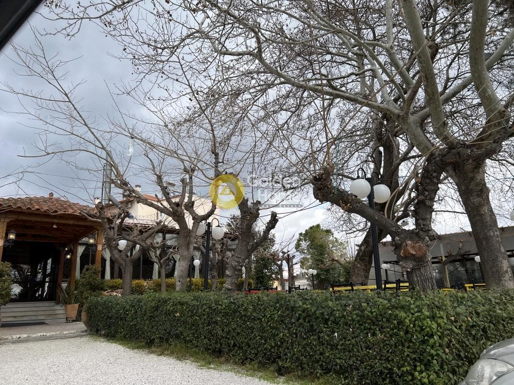 Κατάστημα στην Μεγάλα Σχοινία Α, Αχαρνές