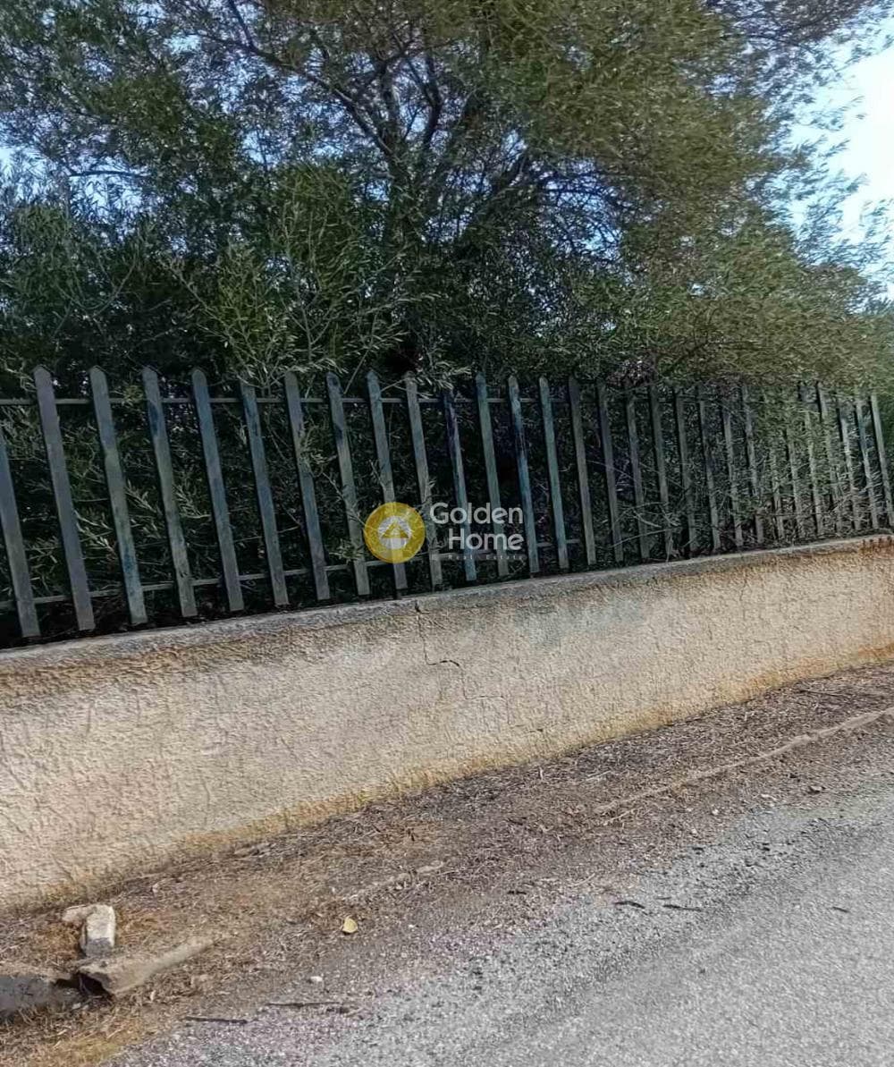 Parcel in Dimitrani, Salamina — Photo 1 of 5