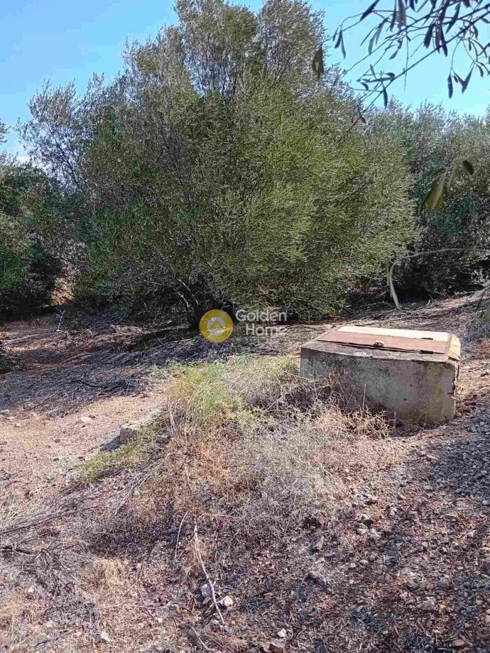 Parcel in Dimitrani, Salamina — Photo 2 of 5