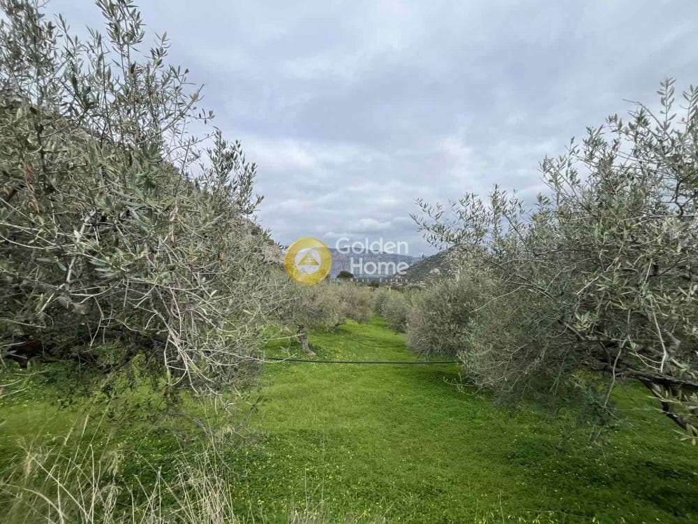 Building Plot in Profitis Ilias, Archanes — Photo 5 of 6