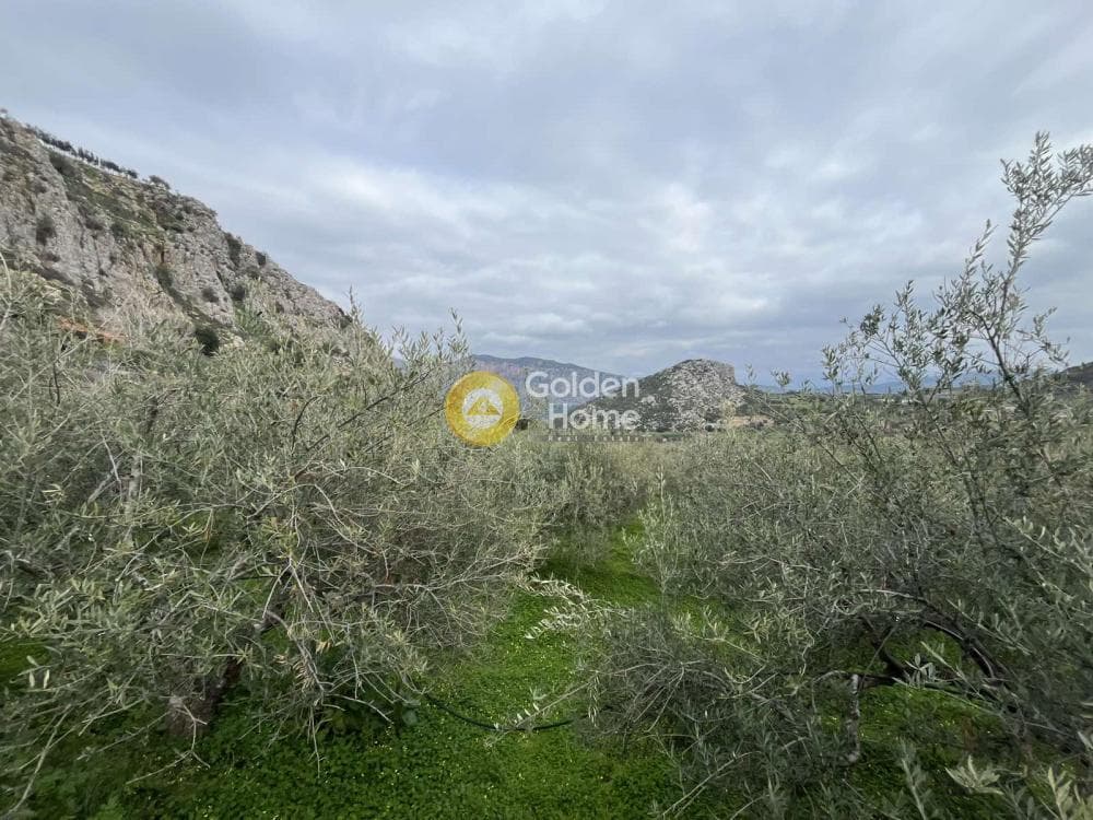Building Plot in Profitis Ilias, Archanes — Photo 4 of 6