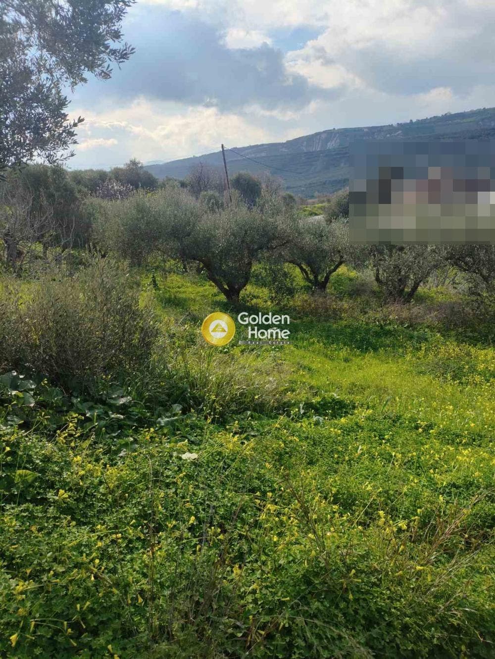 Οικόπεδο στην Μαλάδες, Τέμενος