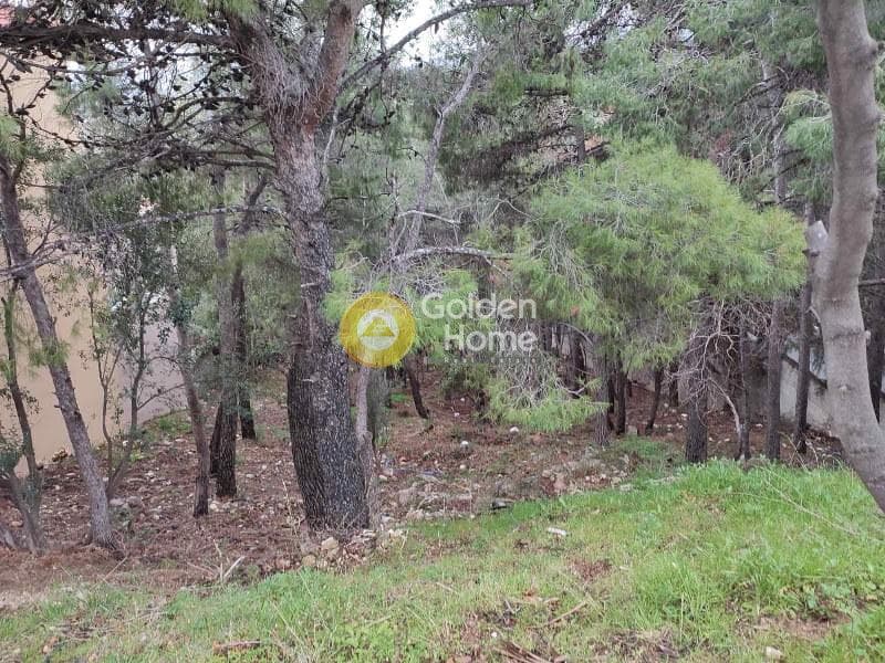 Οικόπεδο στην Μεγάλα Σχοινία Α, Αχαρνές — Φωτογραφία 1 από 5