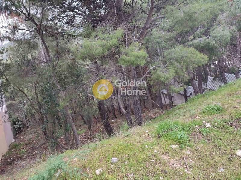 Οικόπεδο στην Μεγάλα Σχοινία Α, Αχαρνές — Φωτογραφία 3 από 5