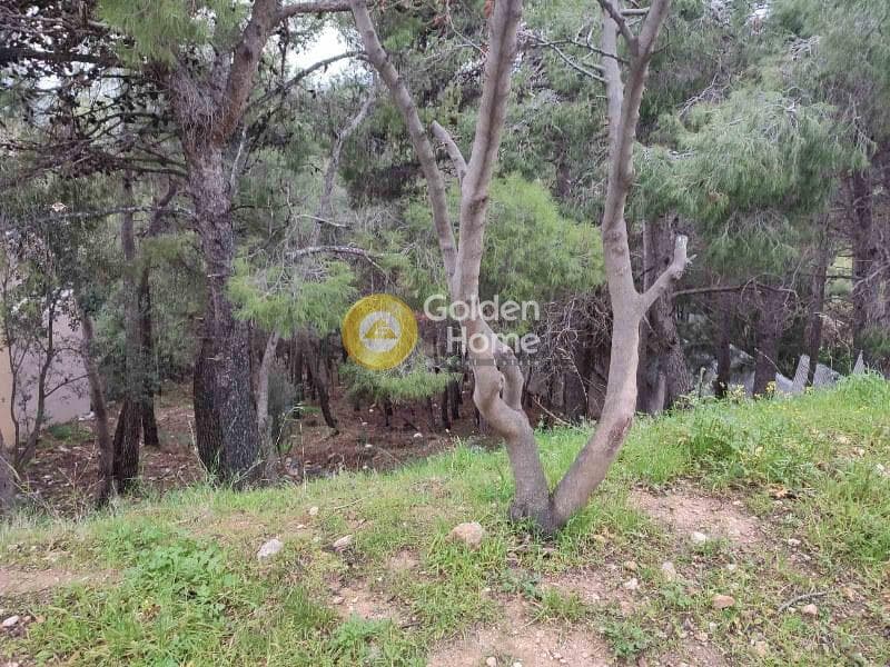 Οικόπεδο στην Μεγάλα Σχοινία Α, Αχαρνές — Φωτογραφία 5 από 5