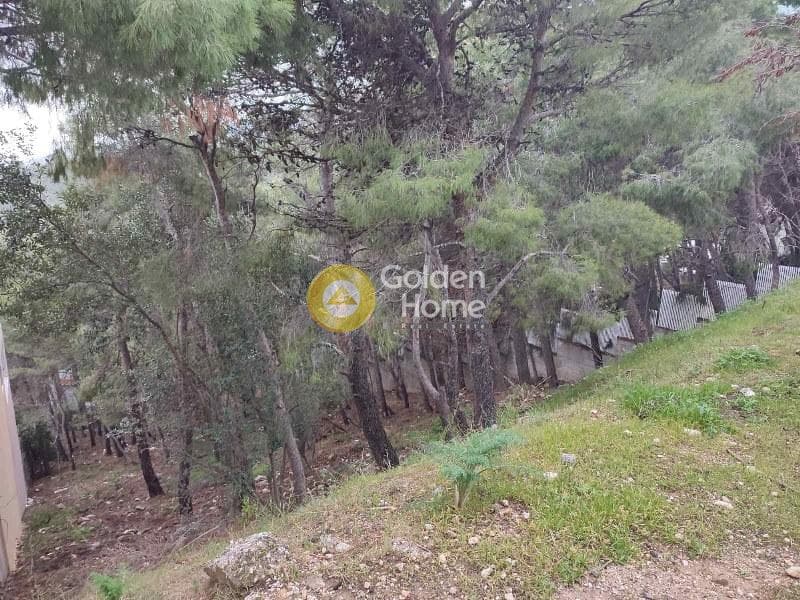 Οικόπεδο στην Μεγάλα Σχοινία Α, Αχαρνές — Φωτογραφία 4 από 5