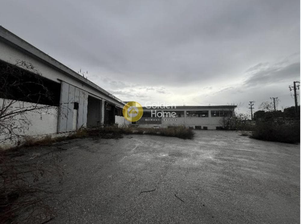 Βιομηχανικός Χώρος στην Πανόραμα, Λυκόβρυση — Φωτογραφία 7 από 15