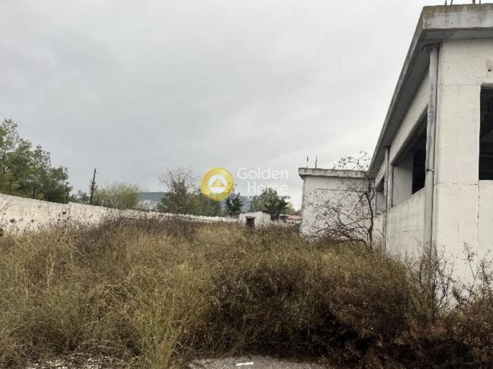 Βιομηχανικός Χώρος στην Πανόραμα, Λυκόβρυση — Φωτογραφία 11 από 15