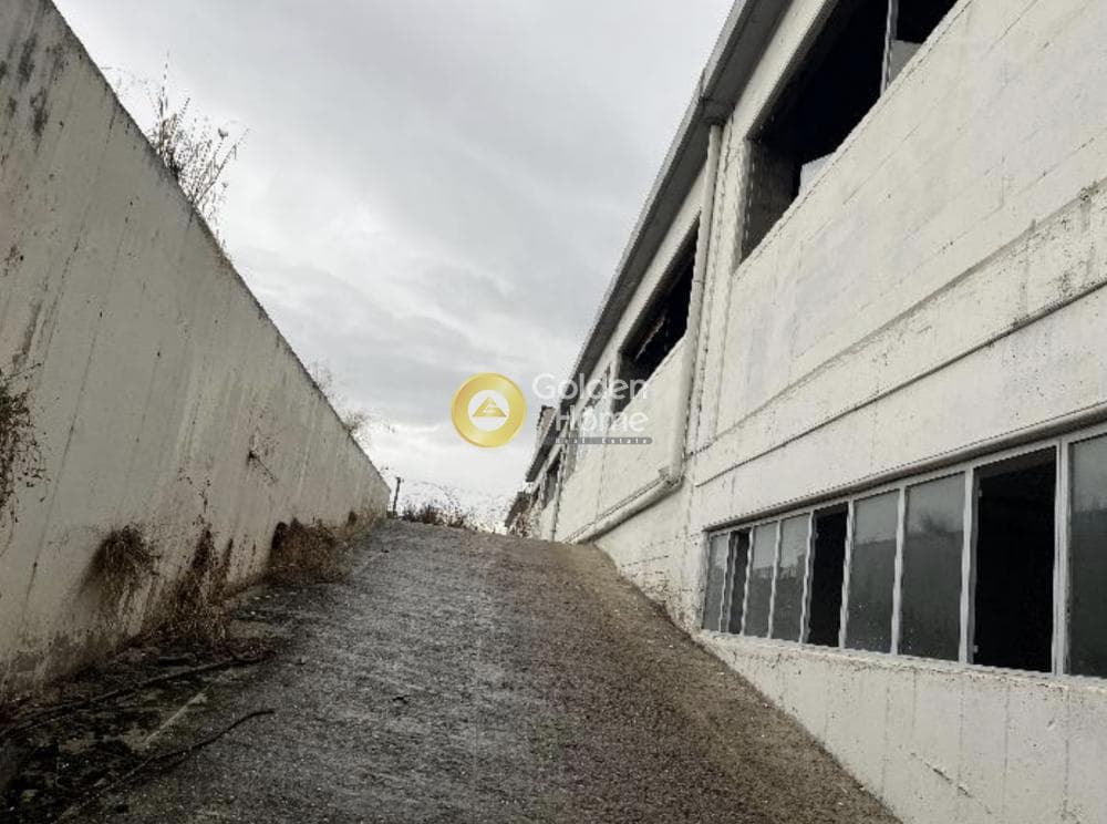 Βιομηχανικός Χώρος στην Πανόραμα, Λυκόβρυση — Φωτογραφία 5 από 15