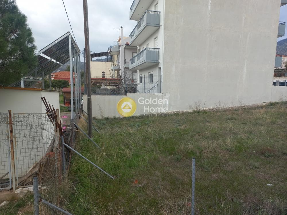 Οικόπεδο στην Μεγάλα Σχοινία Α, Αχαρνές — Φωτογραφία 5 από 7