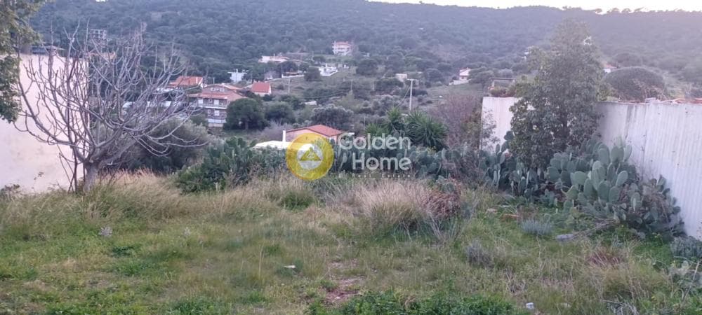 Parcel in Agia Marina, Koropi — Photo 1 of 2