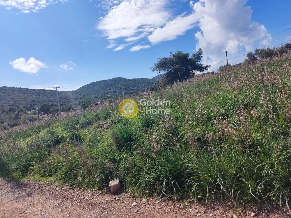 Parcel in Koulouri, Salamina — Photo 1 of 5