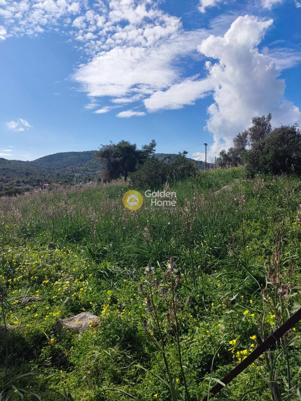 Parcel in Koulouri, Salamina — Photo 3 of 5