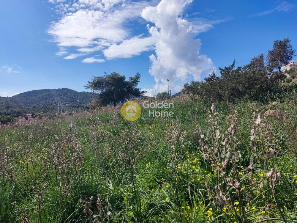 Parcel in Koulouri, Salamina — Photo 5 of 5