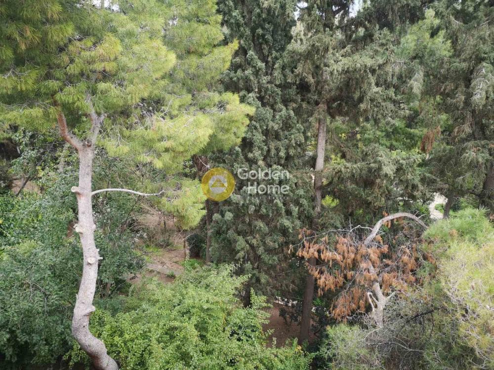 Apartment in Alsos Pagkratiou, Pagkrati — Photo 1 of 25
