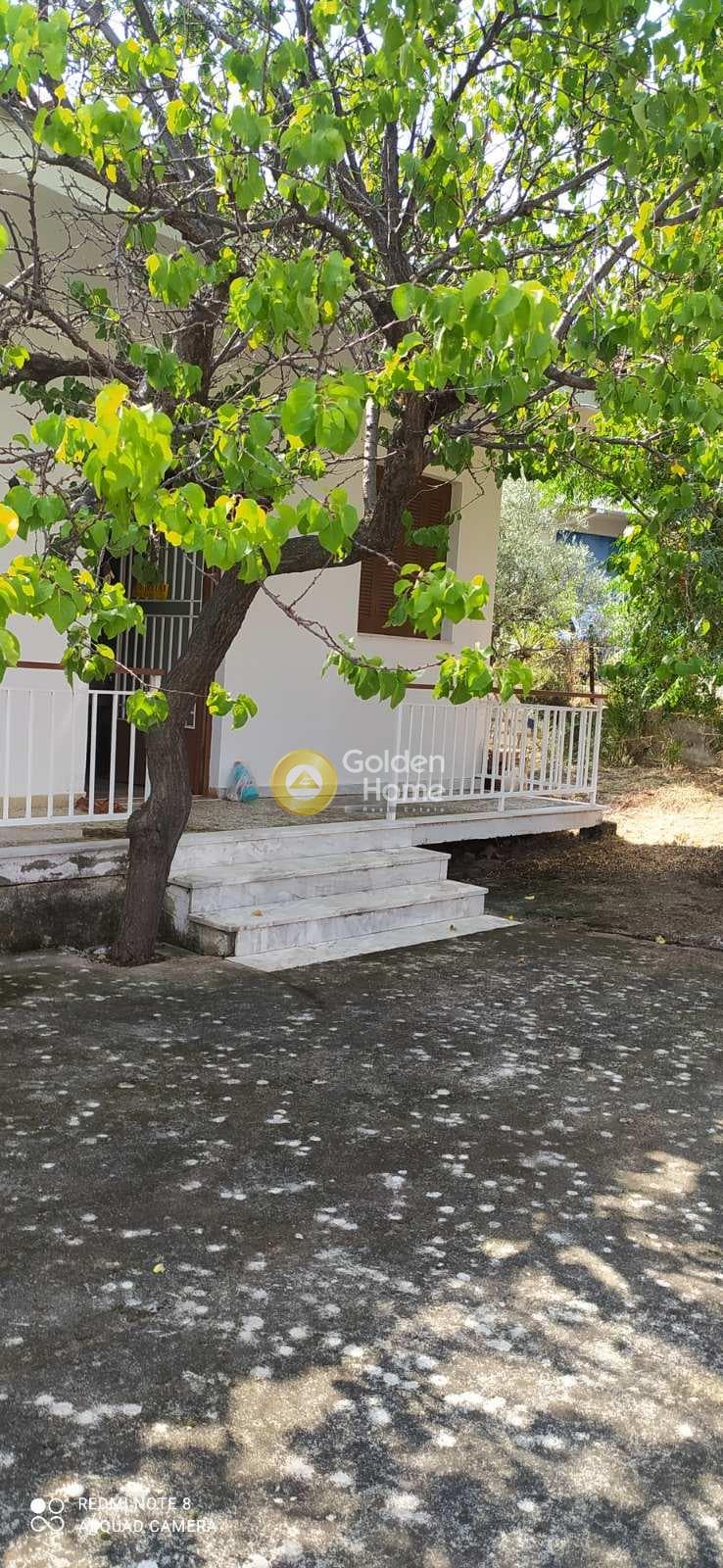 Μονοκατοικία στην Λαφύστι, Λιβαδειά — Φωτογραφία 2 από 26
