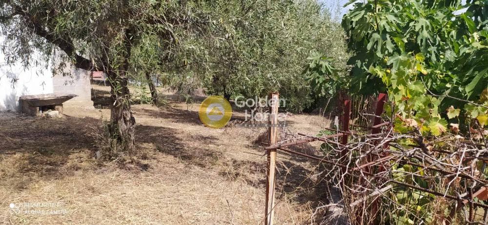 Μονοκατοικία στην Λαφύστι, Λιβαδειά — Φωτογραφία 24 από 26