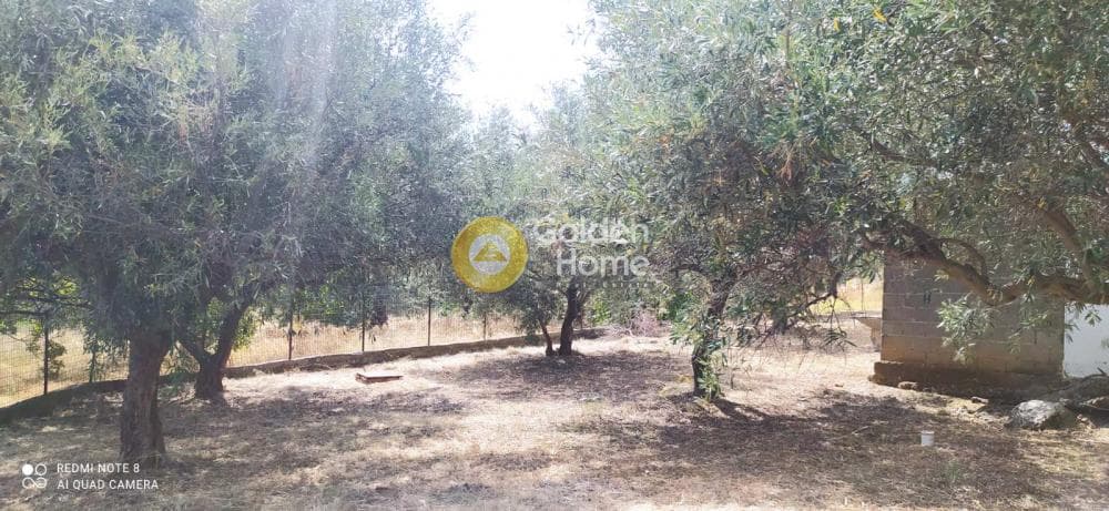 Μονοκατοικία στην Λαφύστι, Λιβαδειά — Φωτογραφία 26 από 26