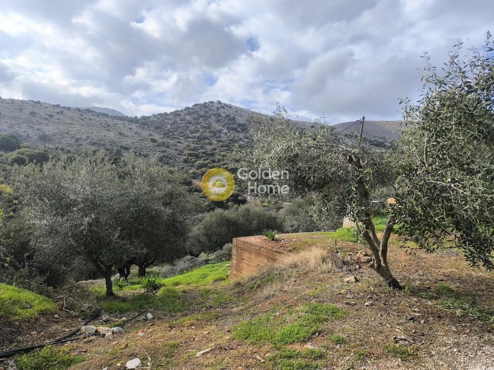 Οικόπεδο στην Άγιος Δημήτριος (τ. Καραμανλή Μετόχι), Ηράκλειο Κρήτης — Φωτογραφία 1 από 25